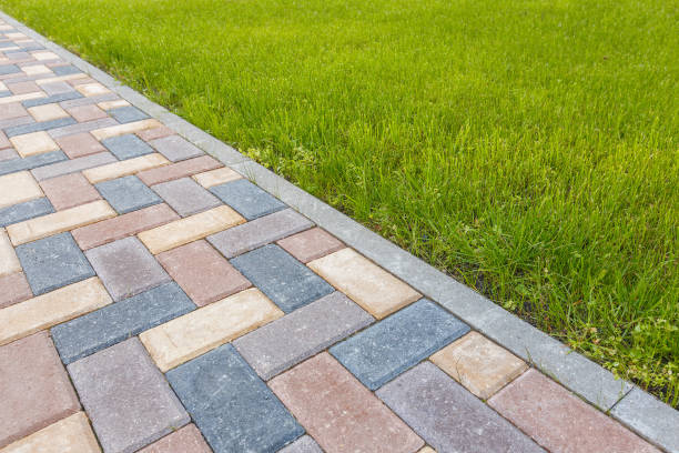 Best Driveway Repair Near Me  in Plainfield Village, CT